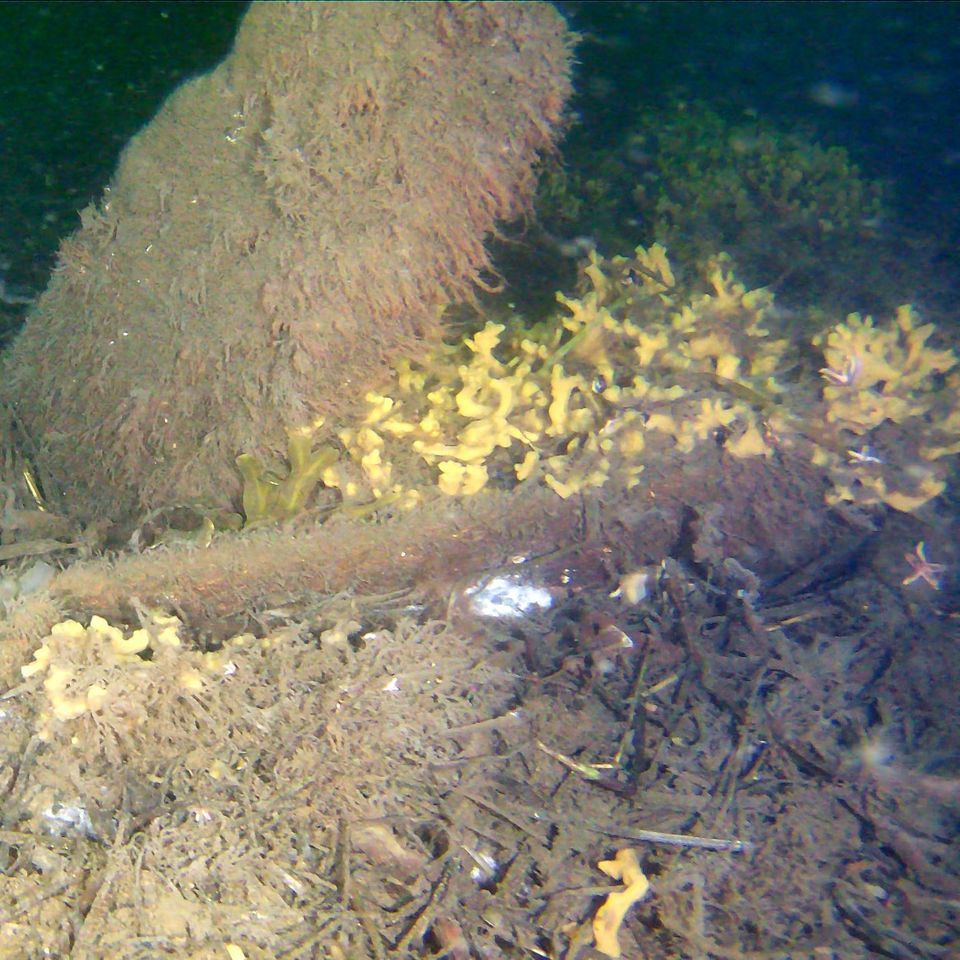 Illustration of a brick wreck